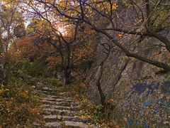 -阳台山自然风景区