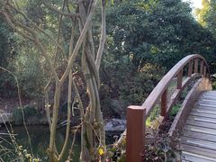 -桃花岛景观公园