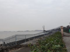 -上海滨江森林公园