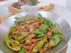 -老长春肉馆(创业大街店)