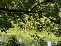 -同里国家湿地公园
