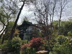 -盆景园(扬州大运河文化旅游度假区)