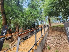 -马王堆汉墓遗址