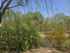 -南翠屏公园