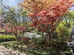 -上海醉白池公园