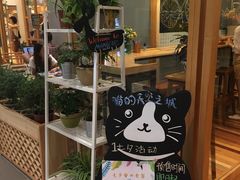 -猫的天空之城概念书店(印象城购物中心店)