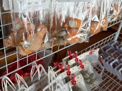 -蓝湾碧波·老字号·疍家非遗海上餐厅