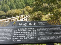 -稻城亚丁景区-冲古草甸