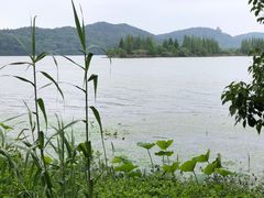 -东湖落雁景区