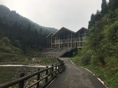 -武陵山森林公园