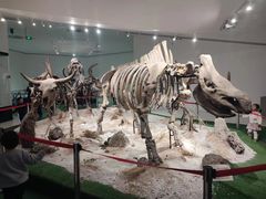 -南通洲际绿博园