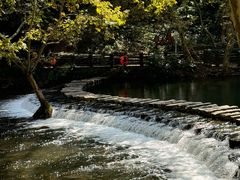 -阿哈湖国家湿地公园