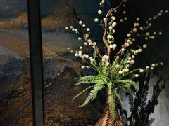 -璞·澐间影院式足道SPA(尚悦湾店)