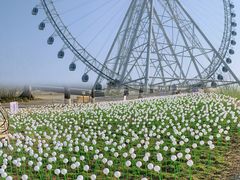 -祥源·阜阳生态乐园