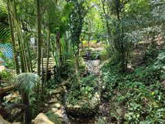 -海南白石岭旅游区