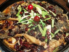 -老板恋上鱼(荣盛广场店)