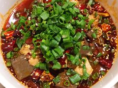 毛血旺-金鼎轩(安贞里店)