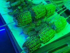 -最先生·烧烤·火锅·音乐聚会餐厅(大悦城店)