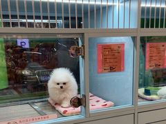 -FAELING PETS美天灵宠物(合生汇店)