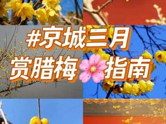 -国家植物园