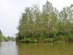 -溱湖国家湿地公园