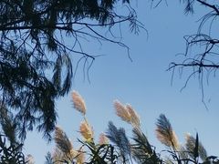 -贡湖湾湿地公园