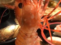 -虾蟹合战(札幌本店)