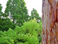 -杭州半山国家森林公园