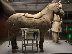 -秦始皇帝陵博物院(兵马俑)