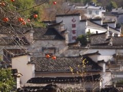 -塔川景区