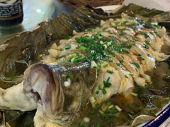 -呼吸森林·生态农庄农家乐私房菜