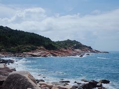 -广东惠东海龟国家级自然保护区