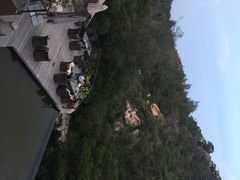 iphone_upload_pic-厦门园林植物园-植物园滴水山房
