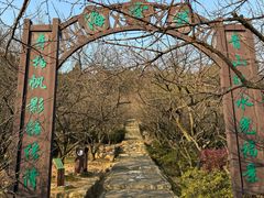 -香雪海