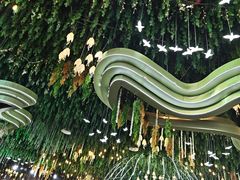 -君临七星生态酒店