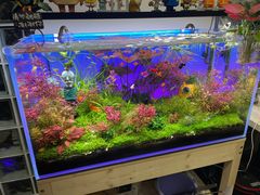 -DOPAMINE多巴胺·甜品面包·生日蛋糕(国贸店)