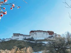 -宗角禄康公园