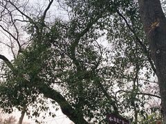 -WeLope紫金山探险公园