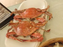 -韩记海鲜饺子旗舰店(红海新区店)