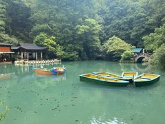 -灵栖洞天