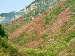 -少华山国家森林公园