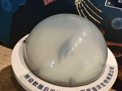-正佳自然科学博物馆