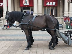 -海底捞火锅(飞马水城店)