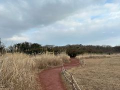 -济州森林小火车生态公园
