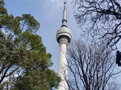 -龟山风景区-龟山电视塔