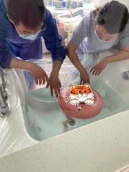 点击看大图 -她时区金吉兒月子中心(太湖度假店)