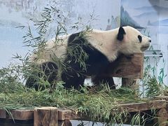 -无锡动物园·太湖欢乐园