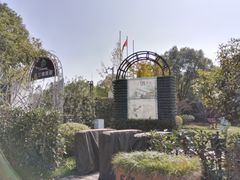 -金山农民画村-枫泾波兰倒置屋