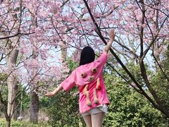 -南山植物园