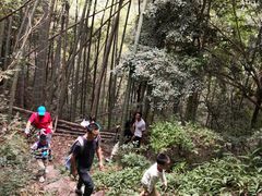 -午潮山国家森林公园
